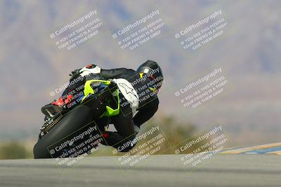 media/Jan-13-2024-SoCal Trackdays (Sat) [[9c032fe5aa]]/Turn 9 Backside (110pm)/
